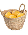 Doum XS Basket