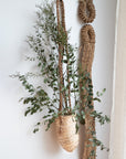 Panier à suspendre avec double corde tressée - vue de profil avec plante