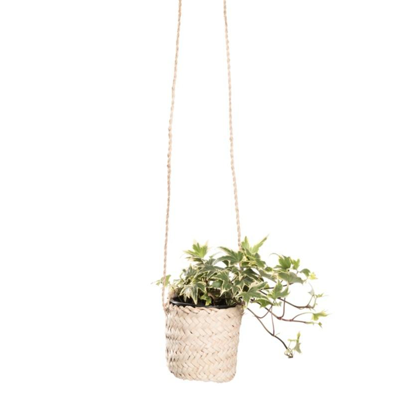 Coupe ronde osier tressé fête des mères grossiste fleuriste