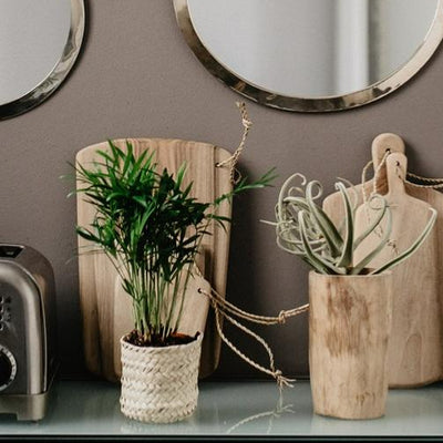 CLARA Small Round Palm Leaf Basket - Ø10cm