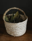 Cache-Pot CLARA | Panier Suspendu Fait Main en Feuille de Palmier Naturelle