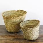 Wicker Basket, L