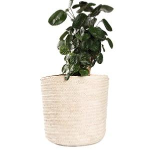 Corbeille cache pot M
