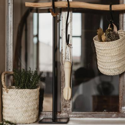 Presse Agrumes en Bois de Citronnier