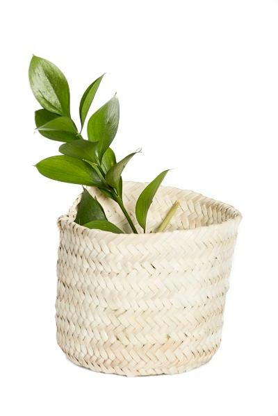 Corbeille Ronde 15cm