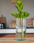 Vase Cylindrique en Verre Recyclé BELDI - COSYDAR