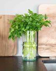 Vase en verre recyclé BELDI polyvalent - COSYDAR