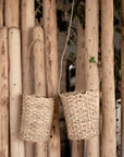 Petits paniers ZEN suspendus avec plante - utilisation décorative