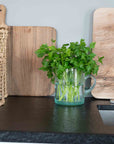 Grande Carafe Ronde en Verre Recyclé BELDI avec Anse et Bec - COSYDAR