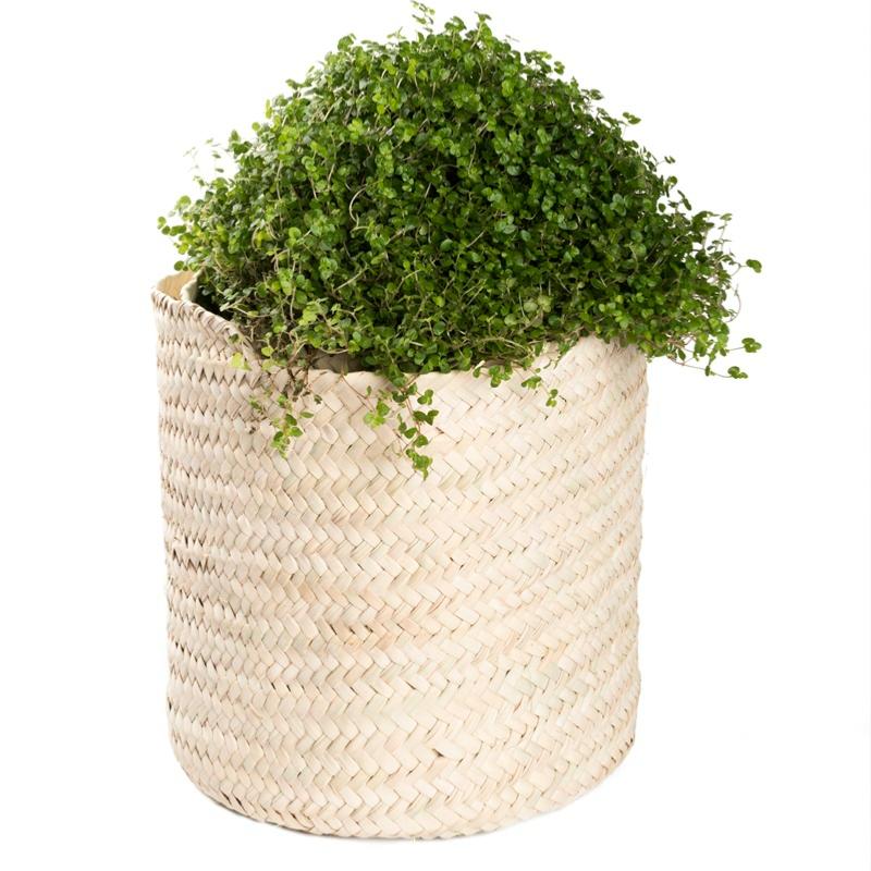 Corbeille de rangement en fibre naturelle - COSYDAR 