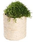 Corbeille de rangement en fibre naturelle - COSYDAR 
