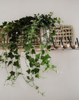 Étagère à Bâtons en Bois BÔ - COSYDAR