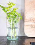 6 Verres Beldi Soufflé 12cm - COSYDAR