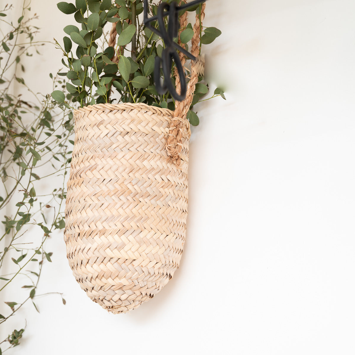 Panier à suspendre en feuille de palmier avec double corde - vue de face suspendu avec plante