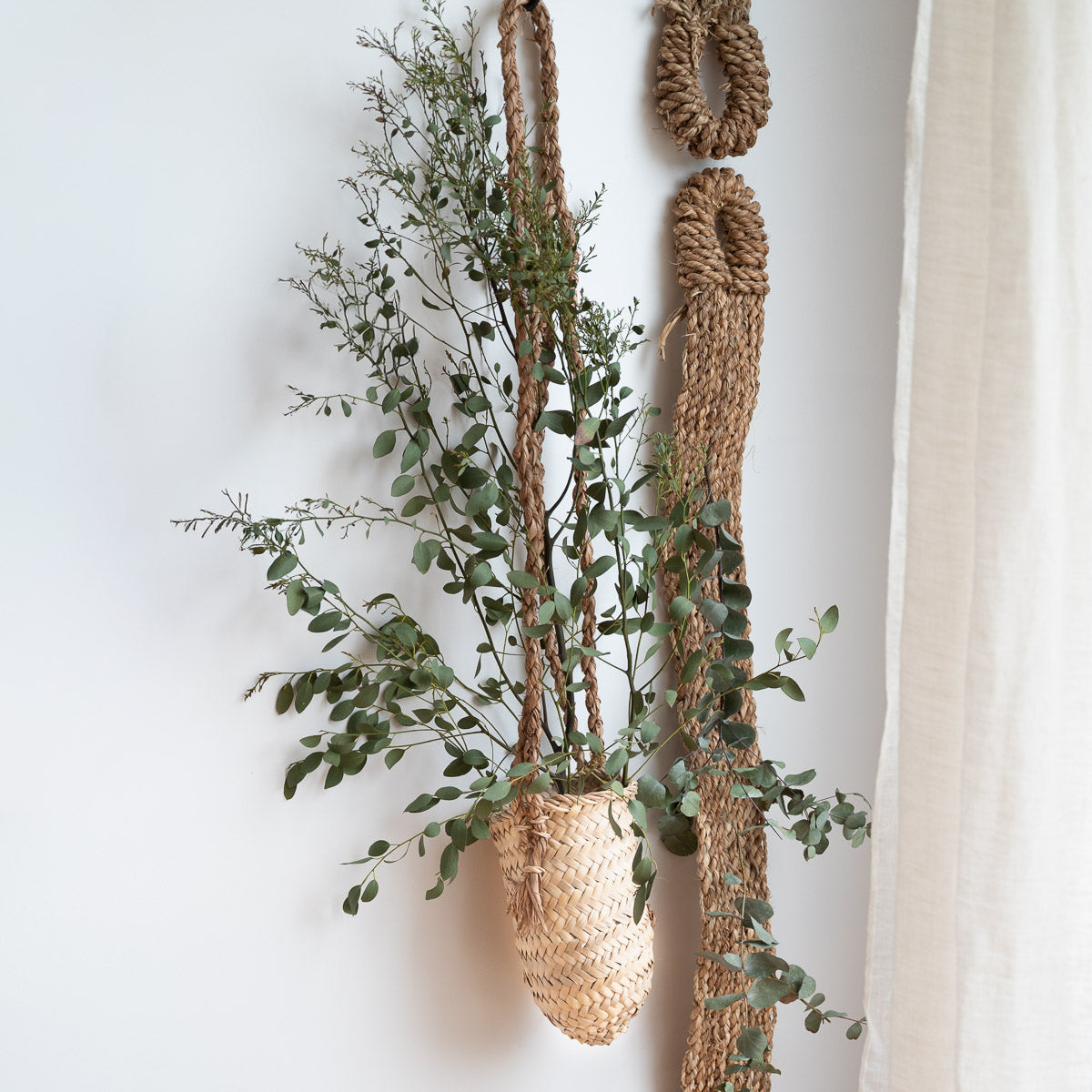 Panier à suspendre avec double corde tressée - vue de profil avec plante