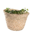 Corbeille Naturelle Polyvalente - COSYDAR