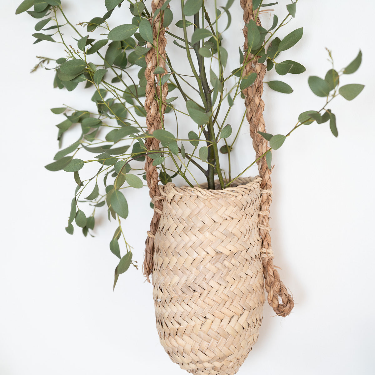 anier suspendu en feuille de palmier - gros plan sur la forme ovale et le tressage