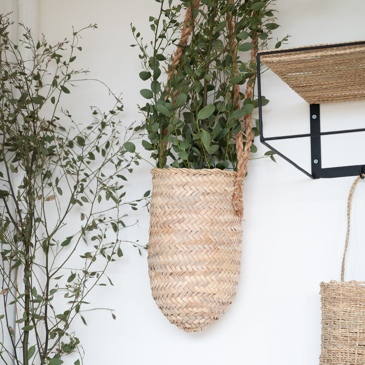 Panier suspendu en feuille de palmier pour plante retombante