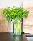 Carafe Beldi en Verre Recyclé 20x9cm - COSYDAR