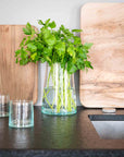 Vase Évasé en Verre Recyclé BELDI - COSYDAR